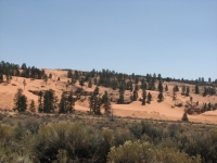 Coral Pink Sand Dunes